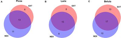 Management After Windstorm Affects the Composition of Ectomycorrhizal Symbionts of Regenerating Trees but Not Their Mycorrhizal Networks